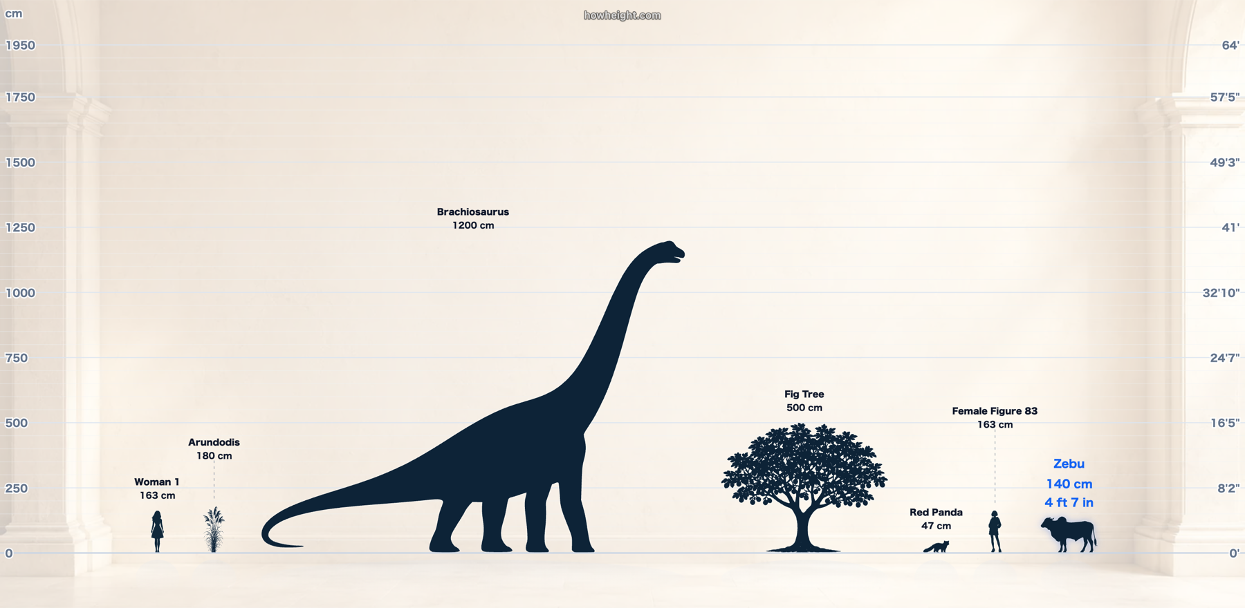 A custom HowHeight chart with people, animals, objects, a tree, a soft blue background, centimeter labels, and feet-and-inch labels.