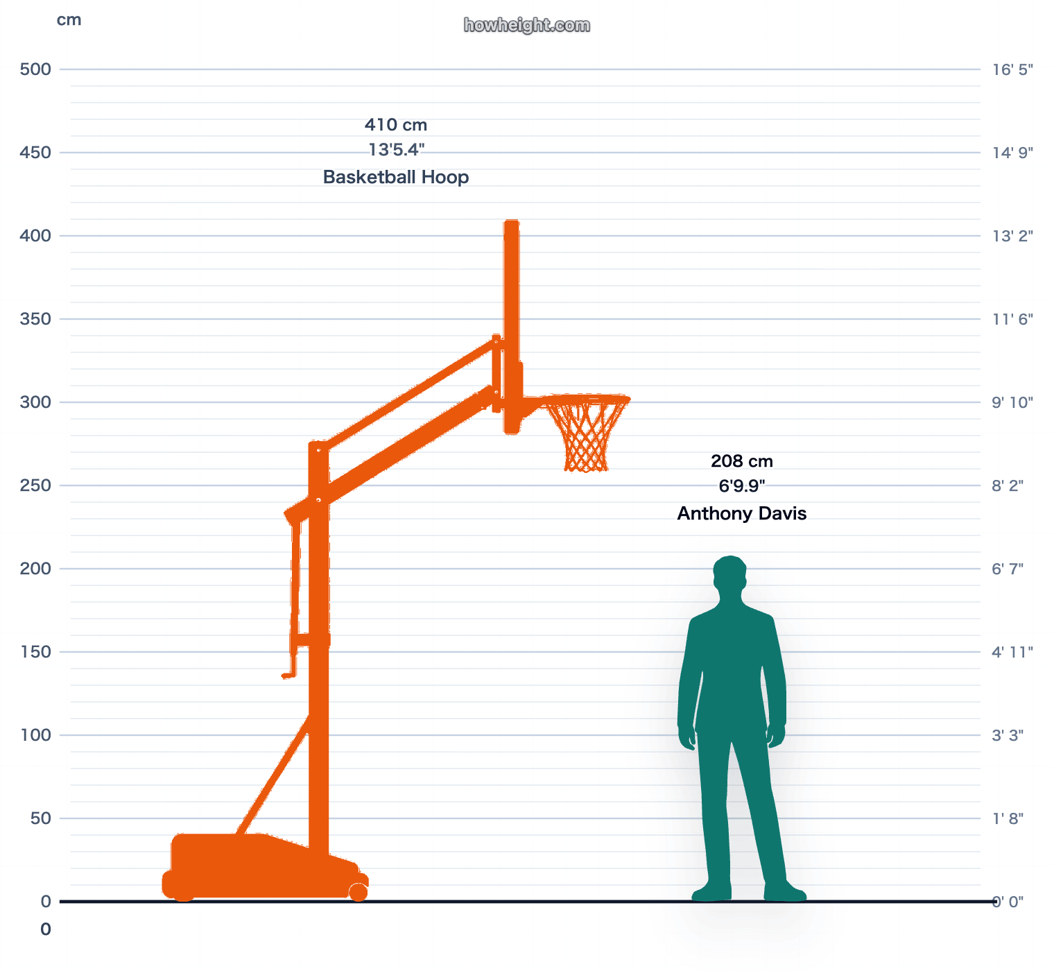 Anthony Davis compared with Basketball hoop