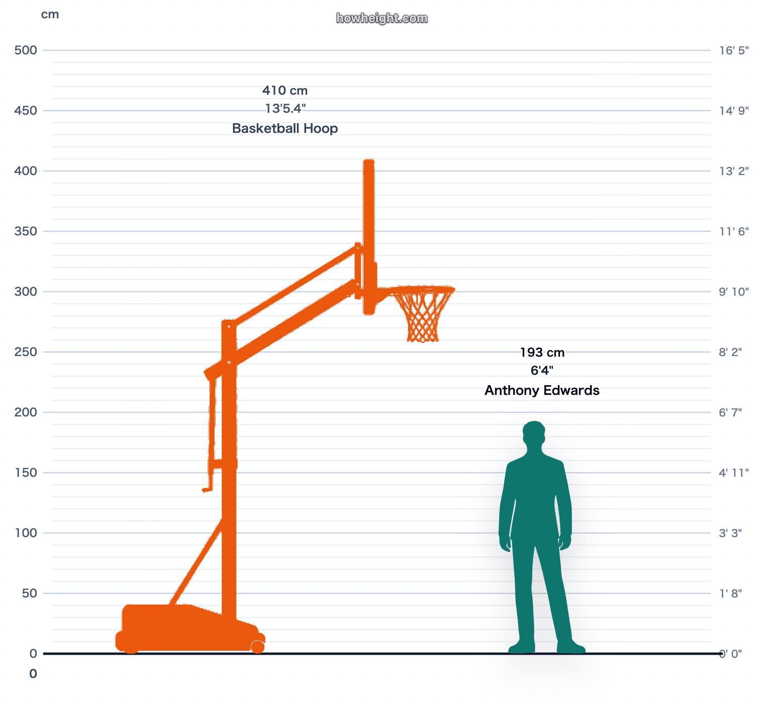 Anthony Edwards compared with Basketball hoop