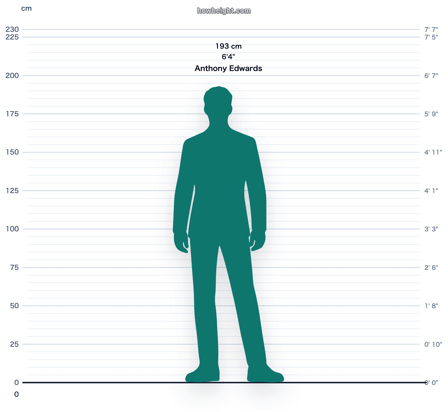 Anthony Edwards 193 cm height chart