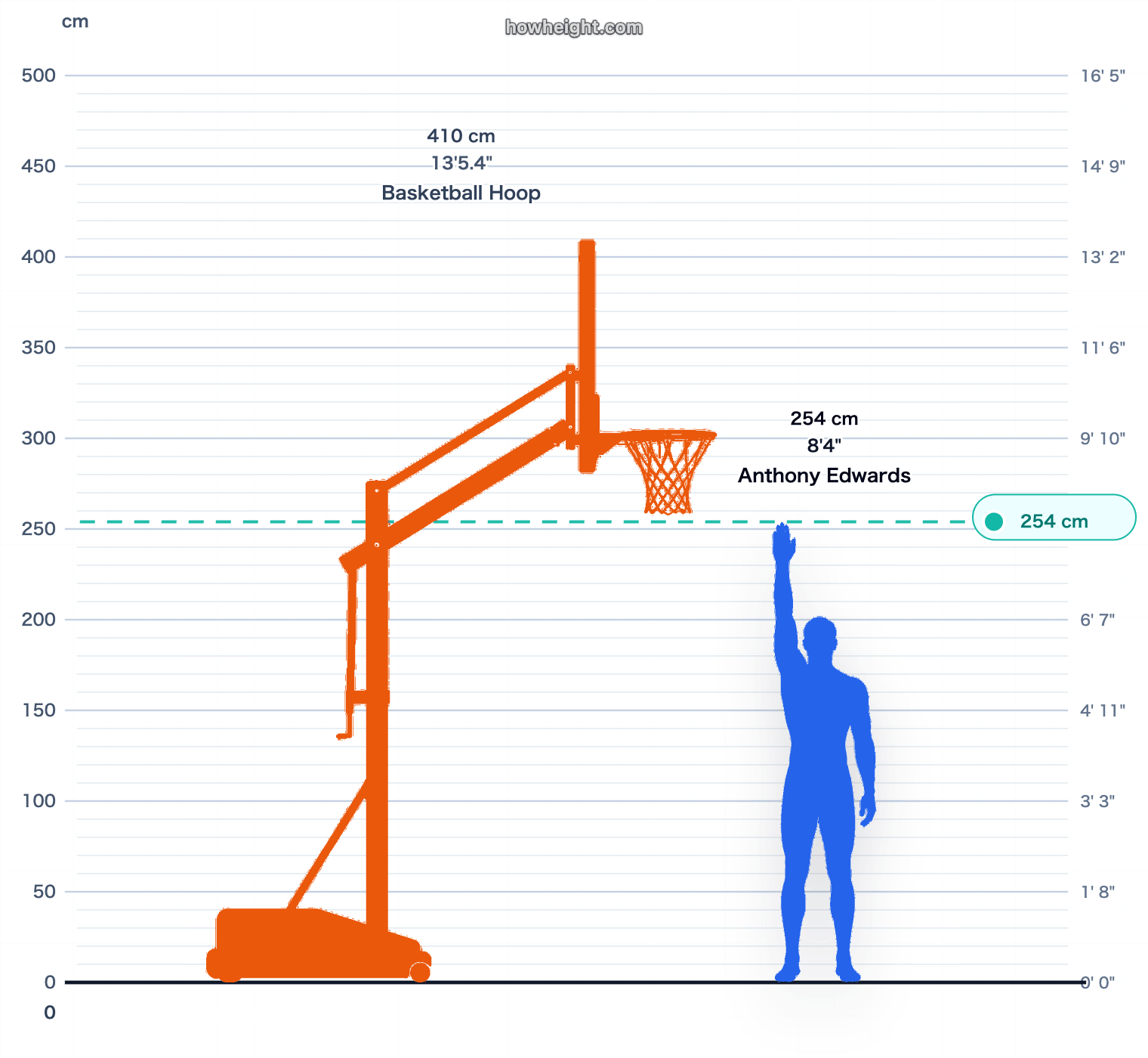 Anthony Edwards standing reach vs rim chart