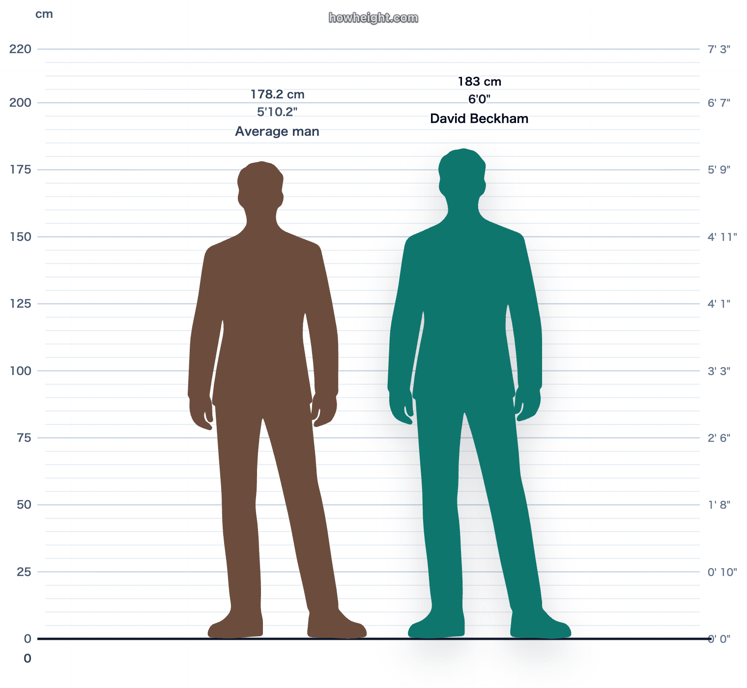 David Beckham compared with United Kingdom men average