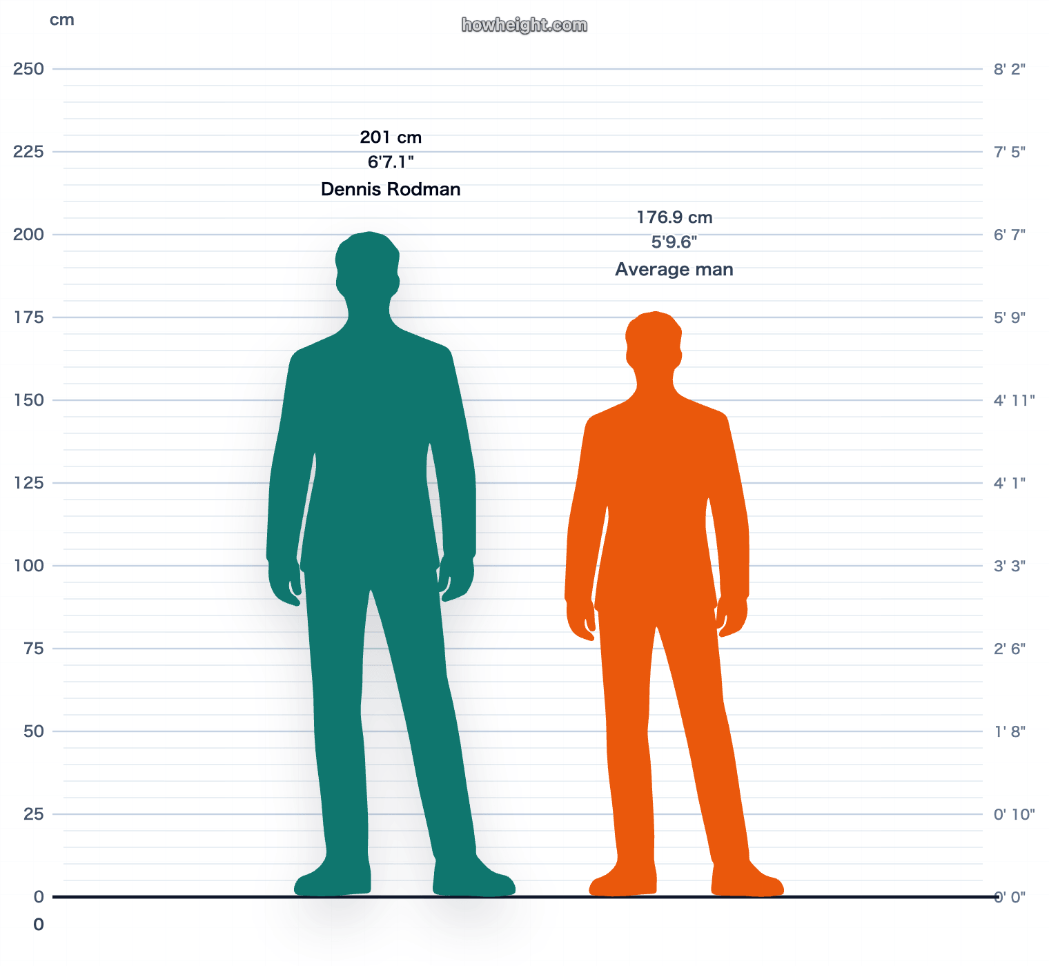 Dennis Rodman compared with United States men average