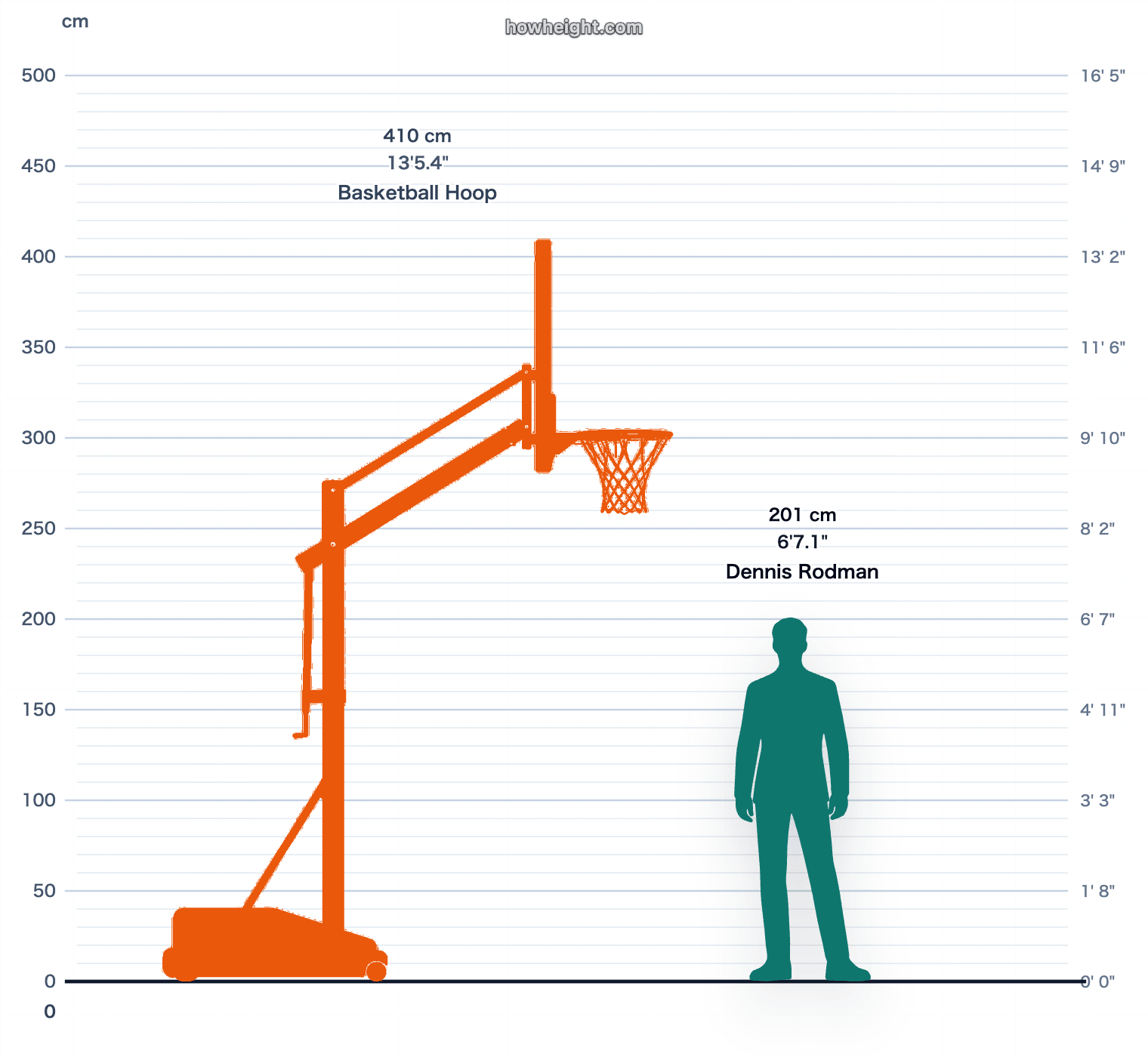 Dennis Rodman compared with Basketball hoop
