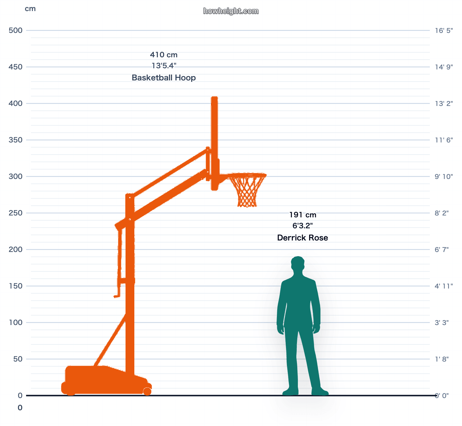 Derrick Rose compared with Basketball hoop