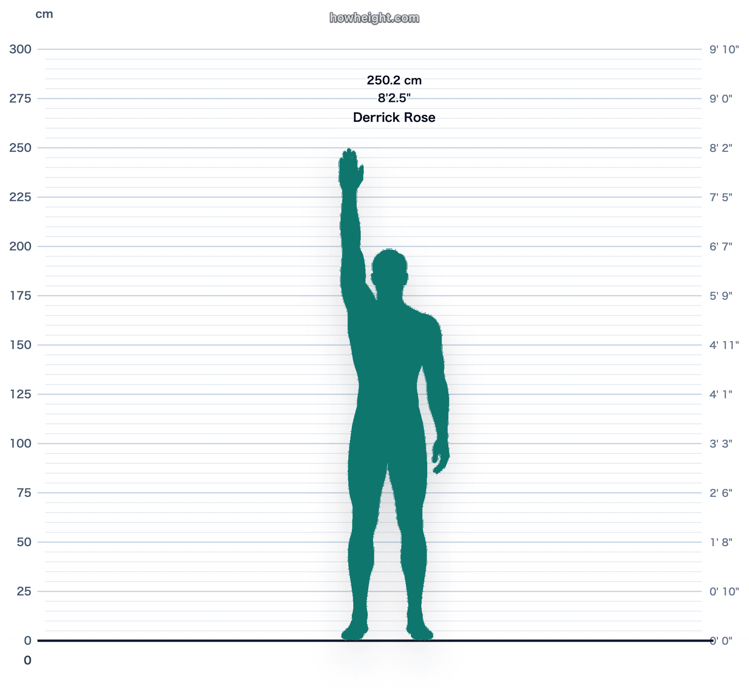 Derrick Rose standing reach chart