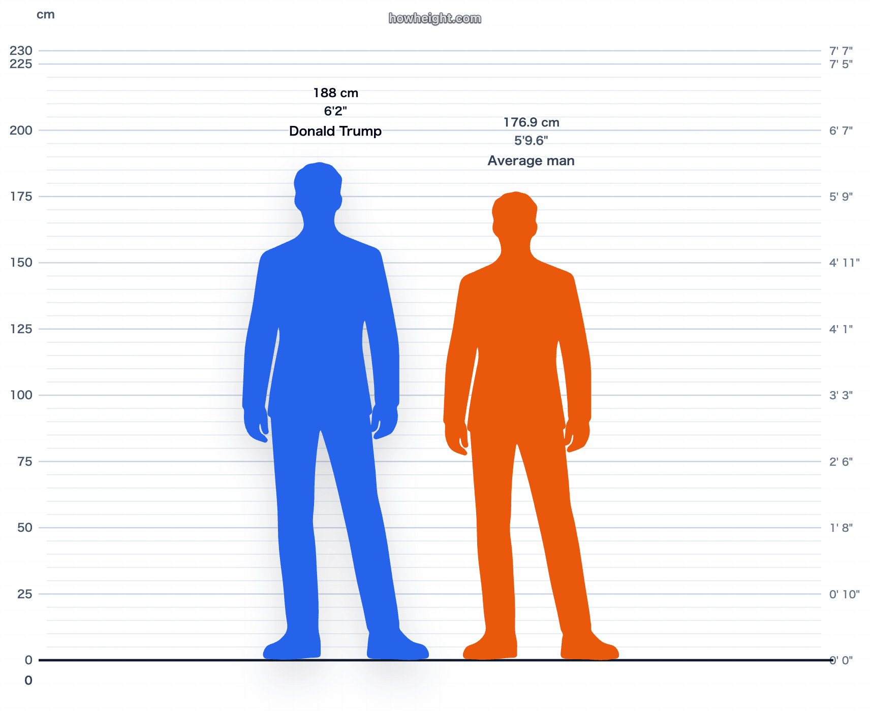 Donald Trump compared with United States men average