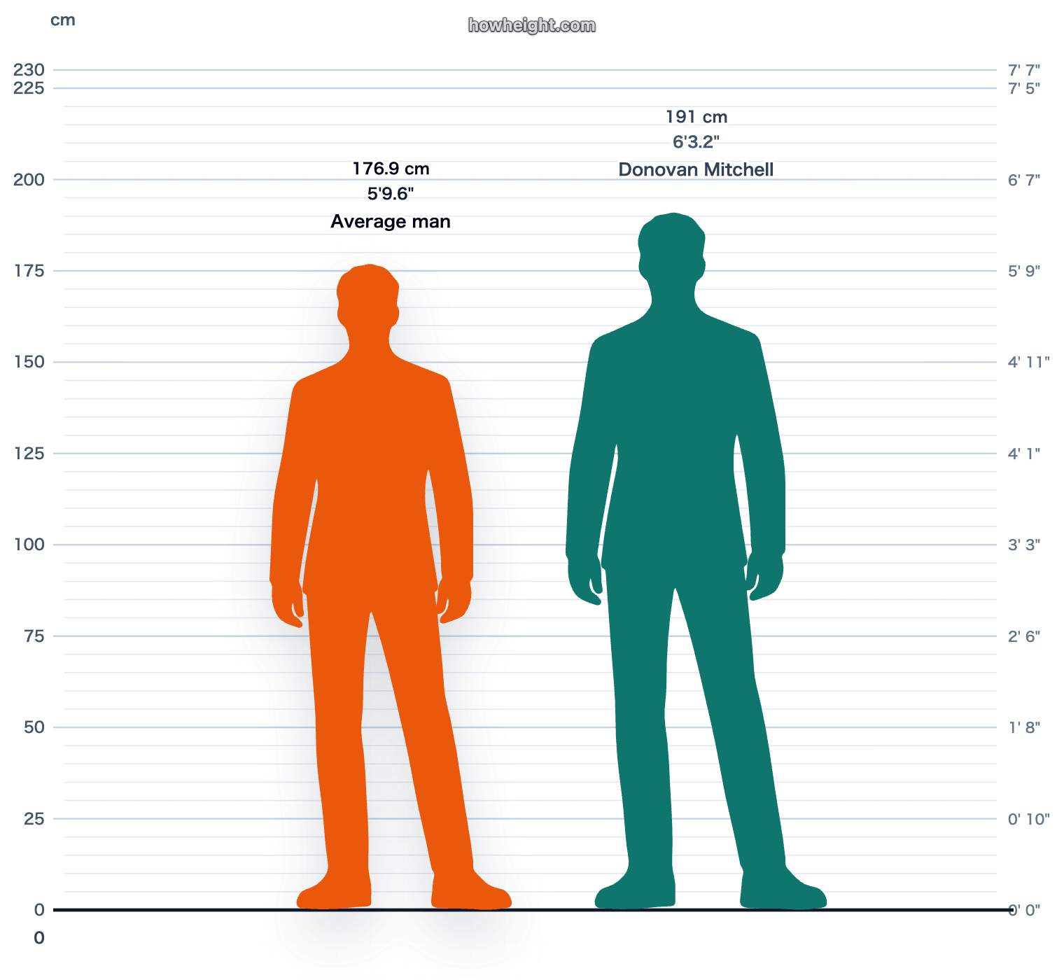 Donovan Mitchell compared with United States men average