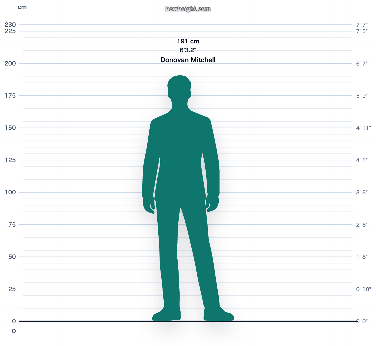 Donovan Mitchell 191 cm height chart