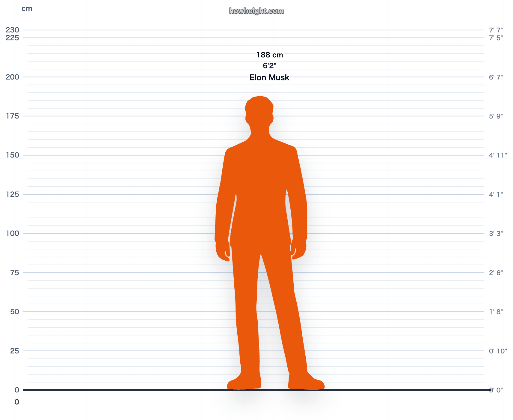 Elon Musk 188 cm height chart