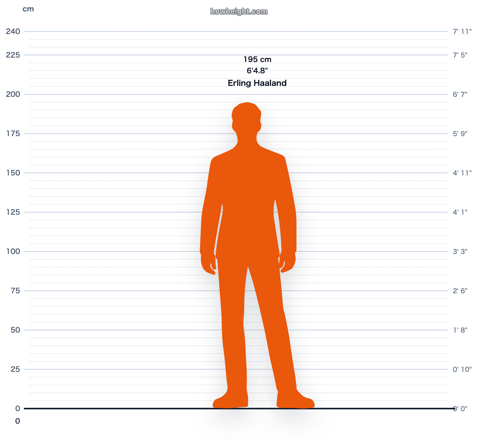 Erling Haaland 195 cm height chart