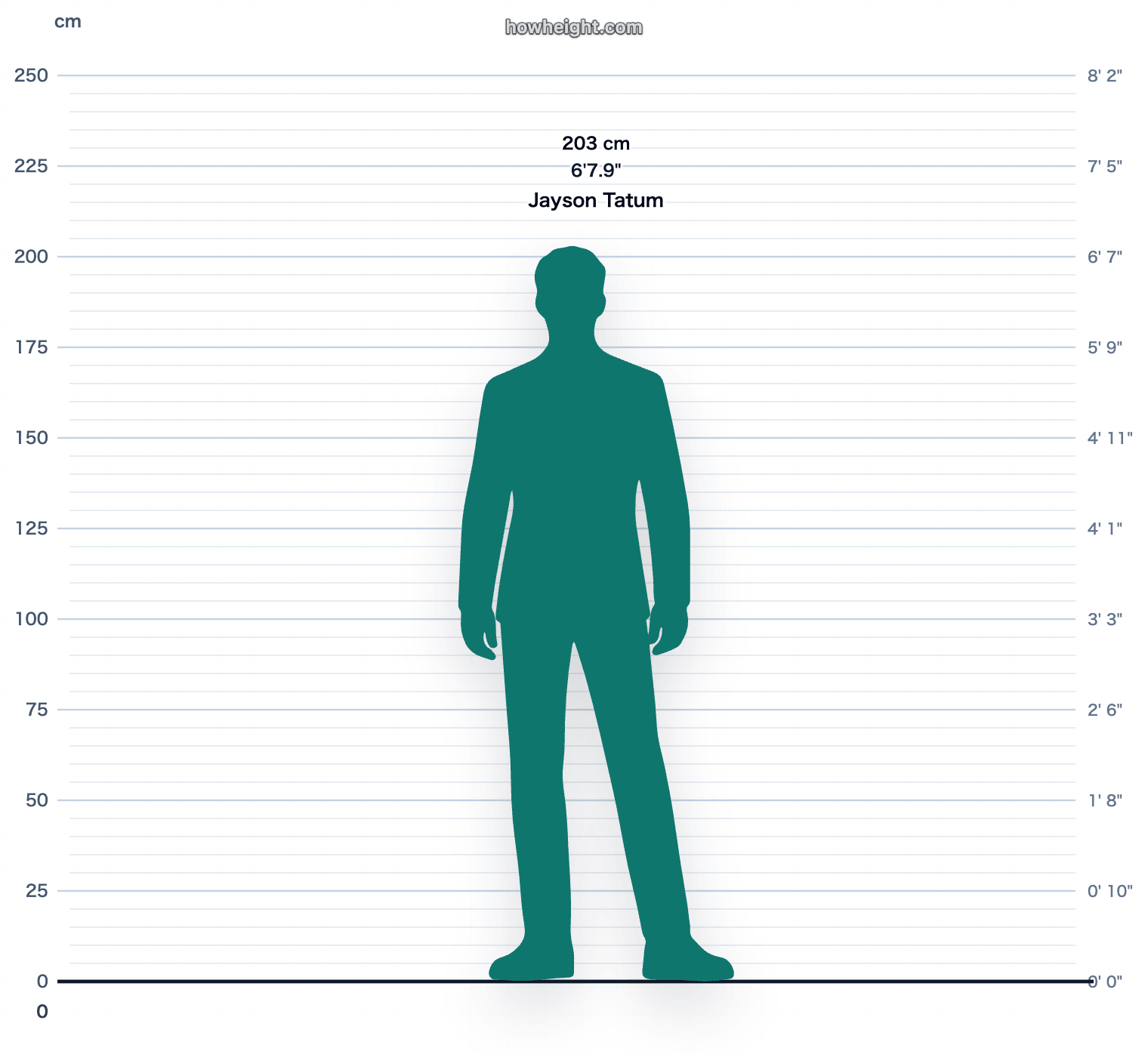 Jayson Tatum 203 cm height chart