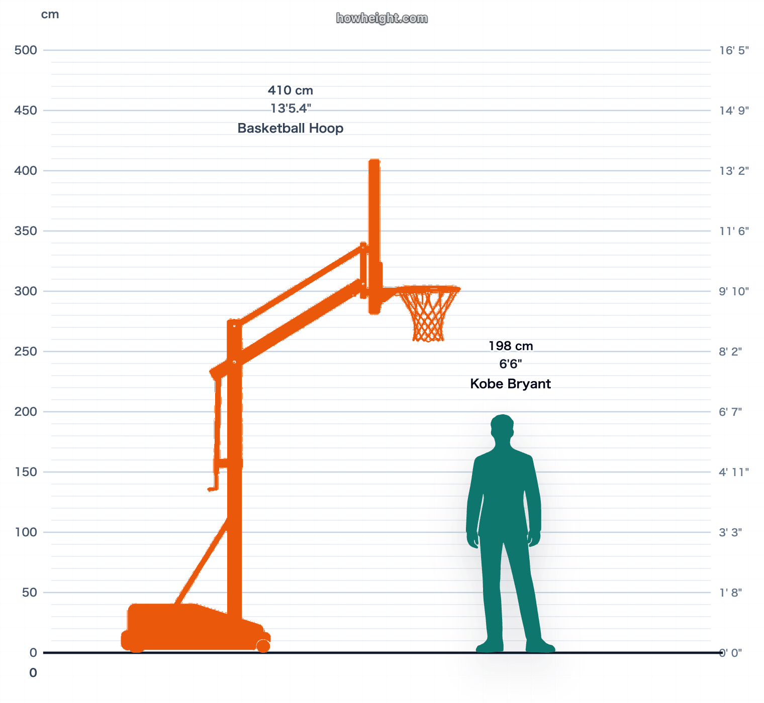 Kobe Bryant compared with Basketball hoop
