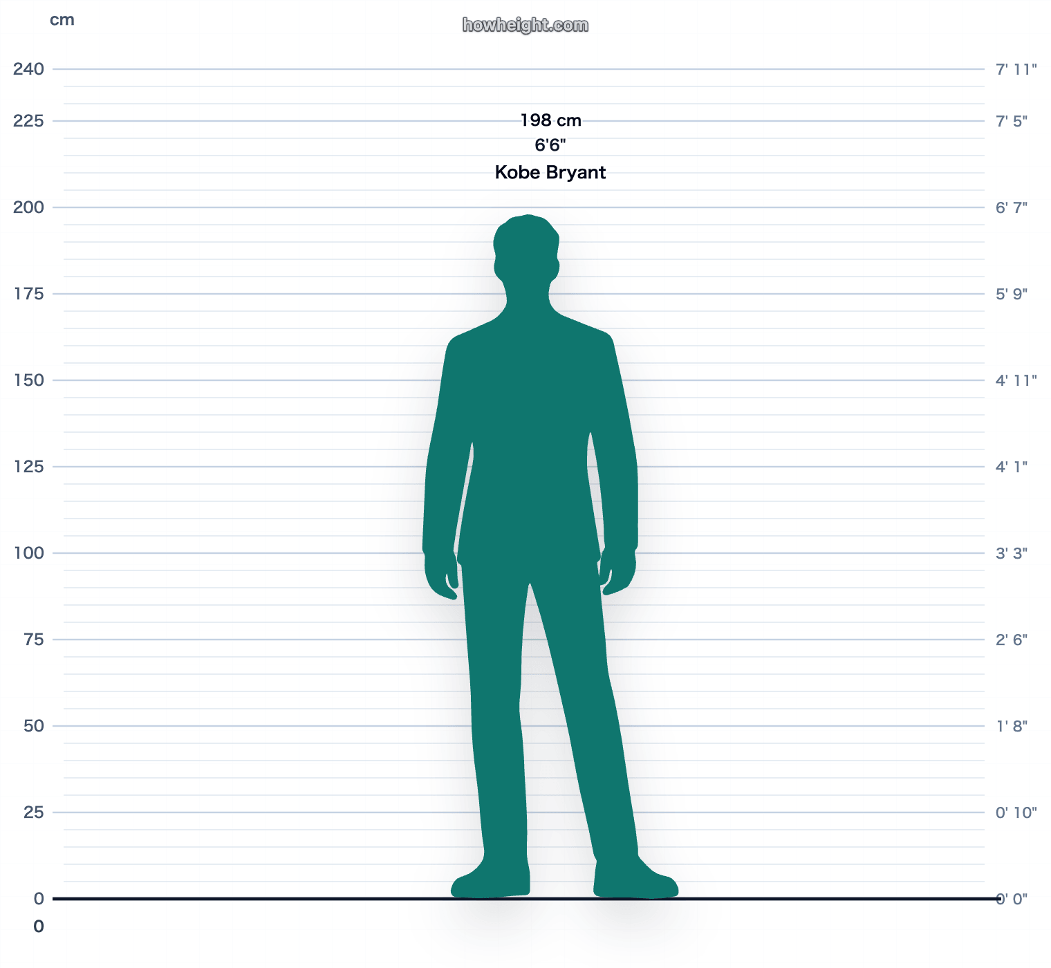 Kobe Bryant 198 cm height chart