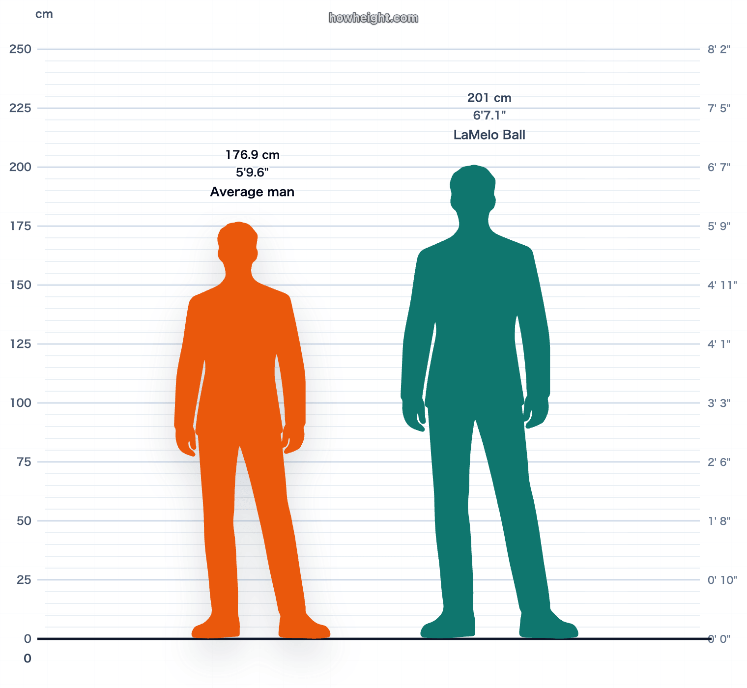 LaMelo Ball compared with United States men average