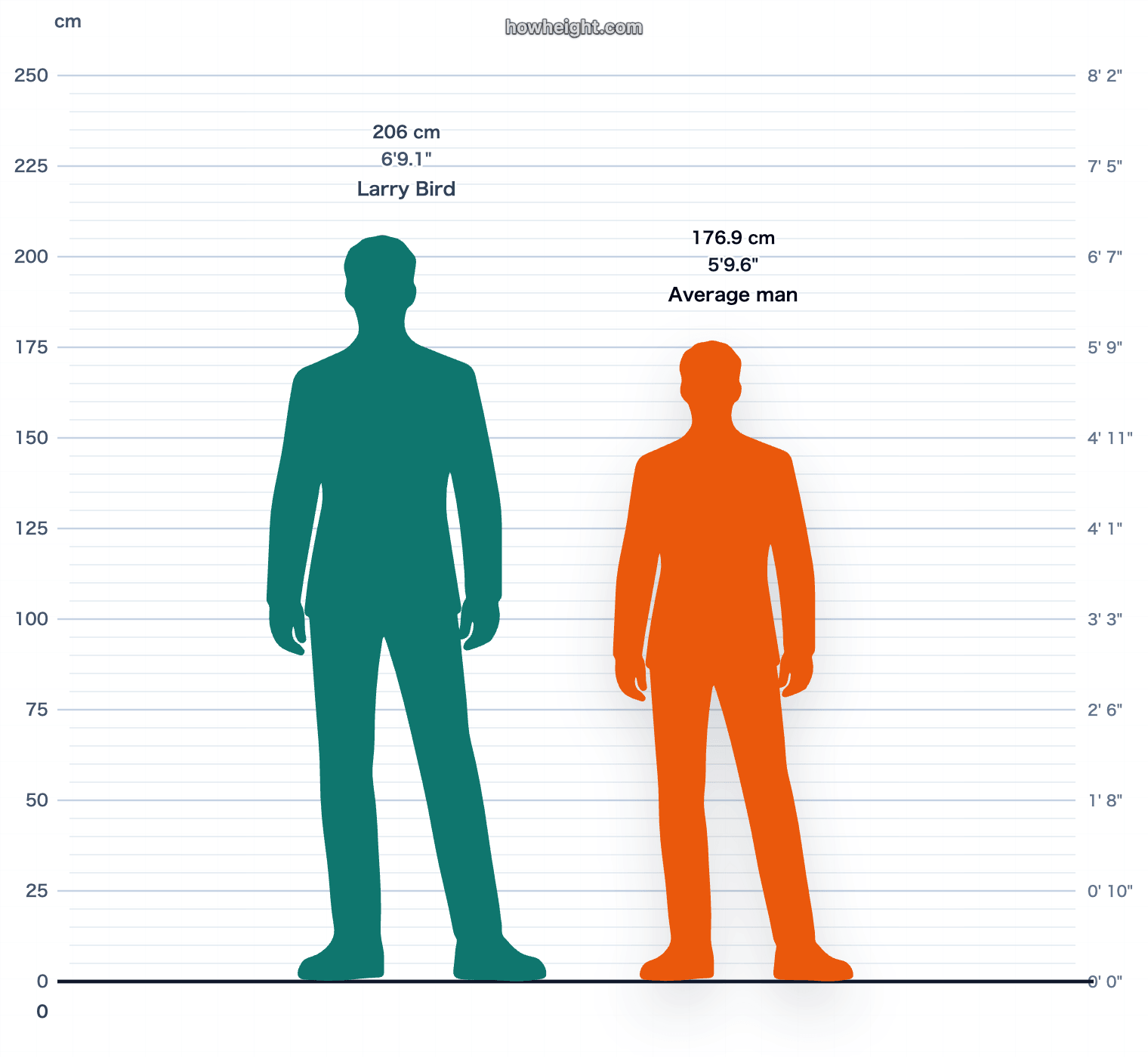 Larry Bird compared with United States men average