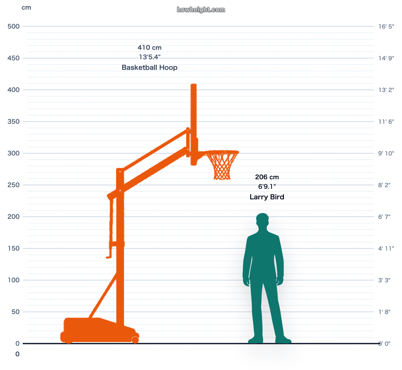 Larry Bird compared with Basketball hoop