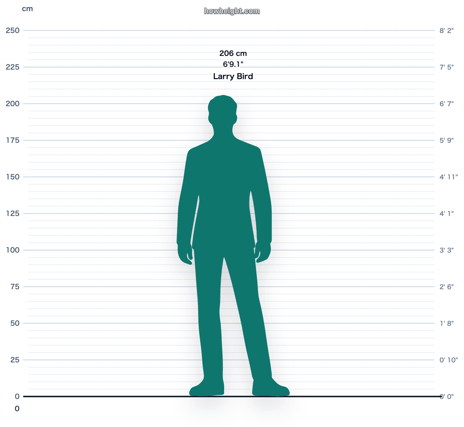 Larry Bird 206 cm height chart