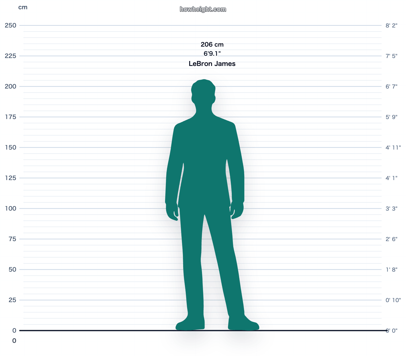 LeBron James 206 cm height chart