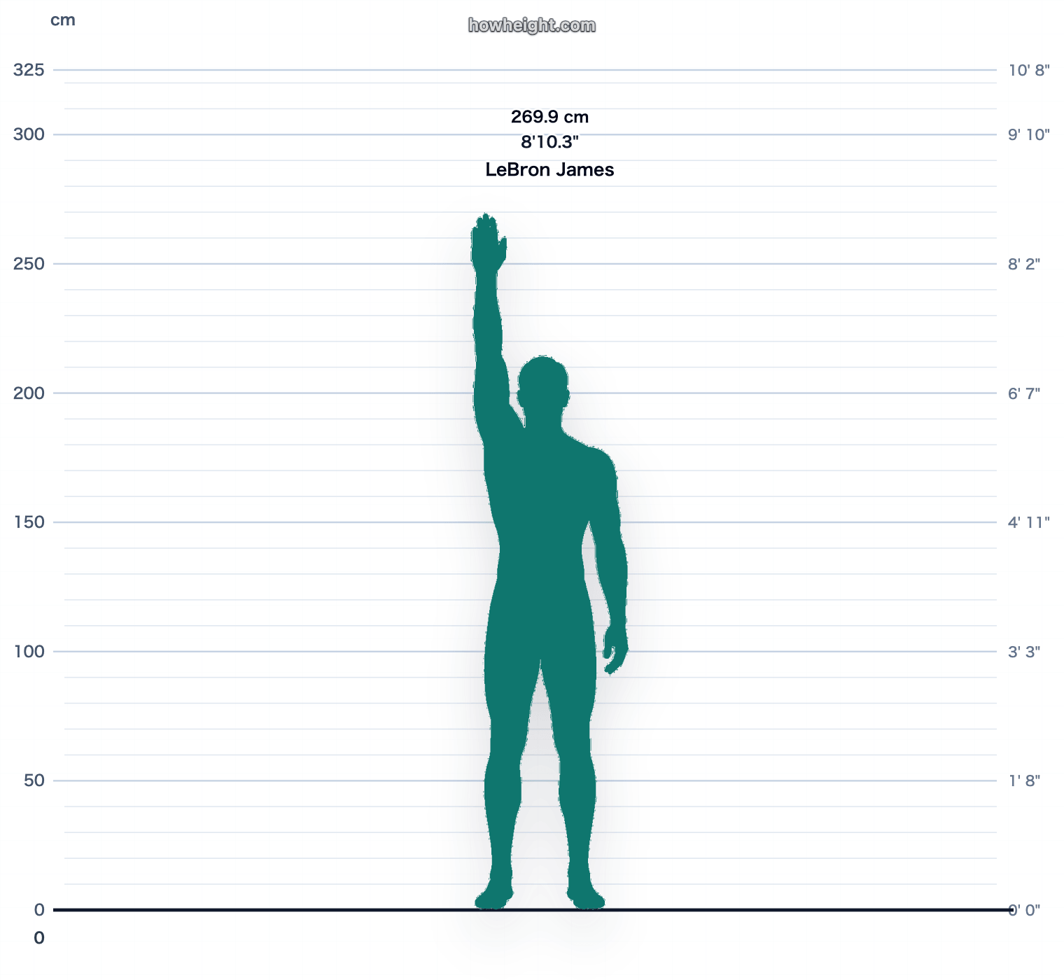 LeBron James standing reach chart