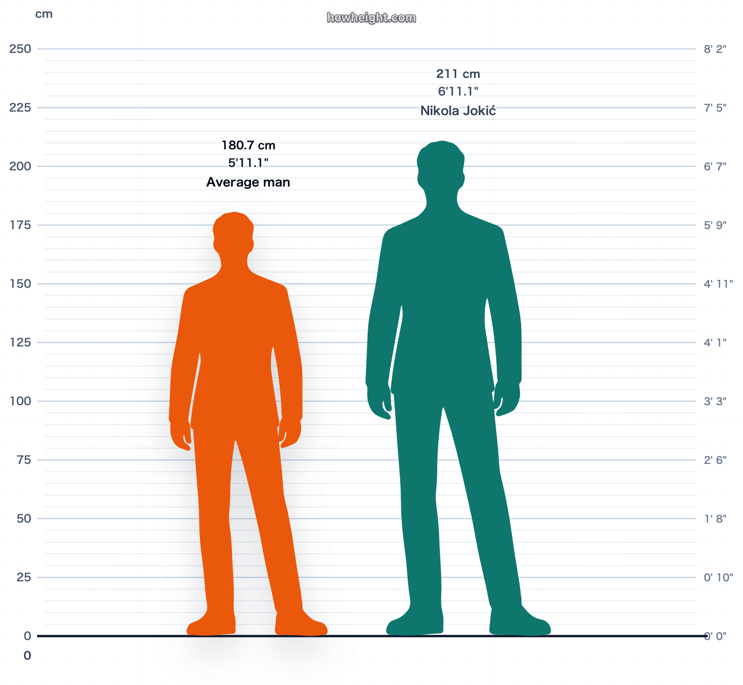 Nikola Jokić compared with Serbia men average