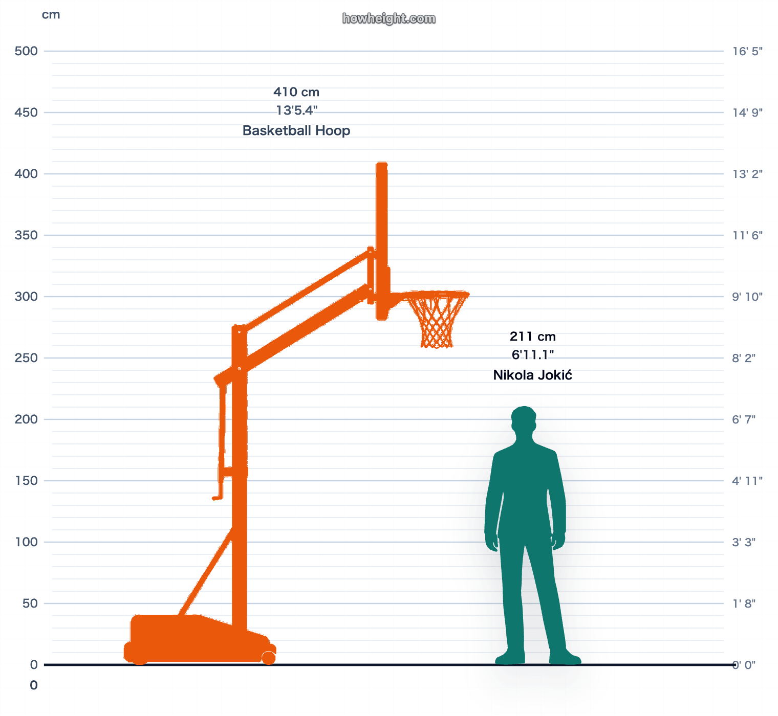 Nikola Jokić compared with Basketball hoop