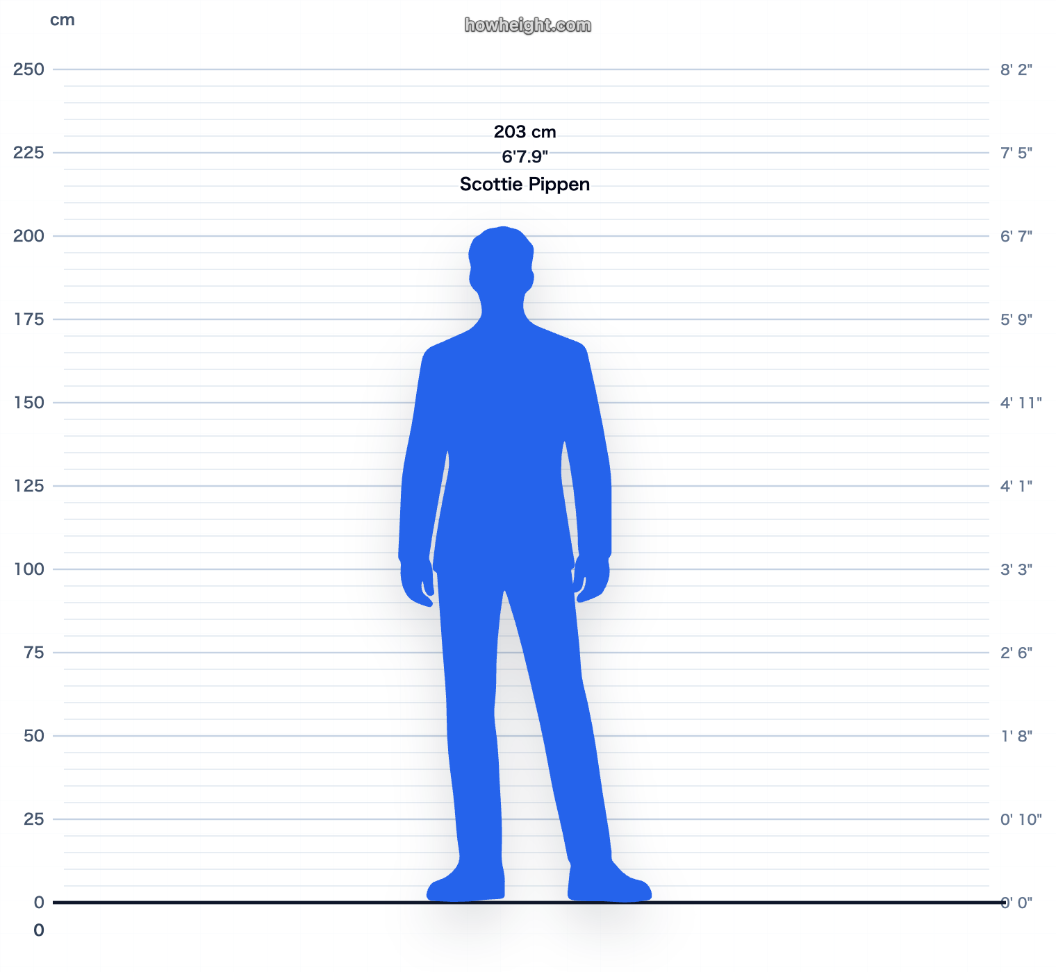 Scottie Pippen 203 cm height chart