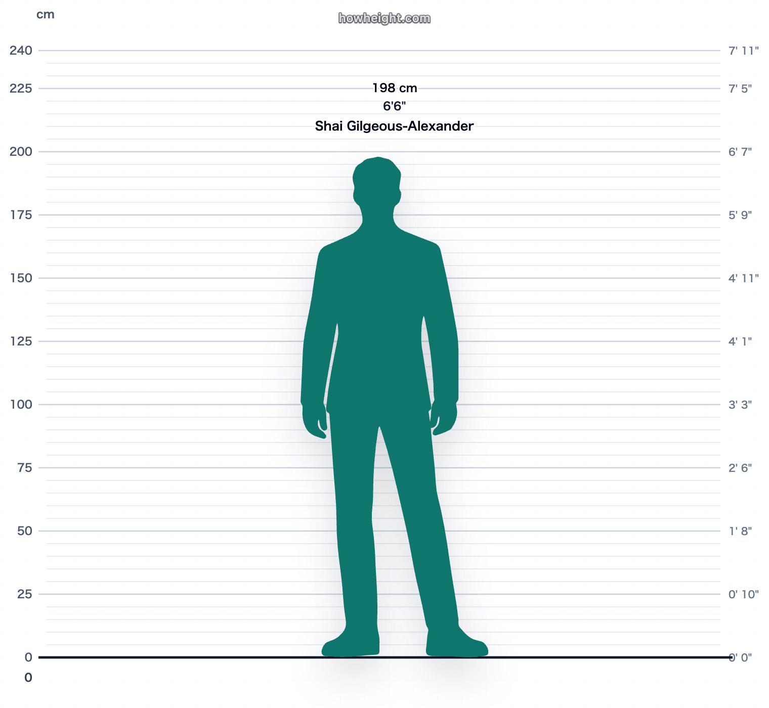 Shai Gilgeous-Alexander 198 cm height chart