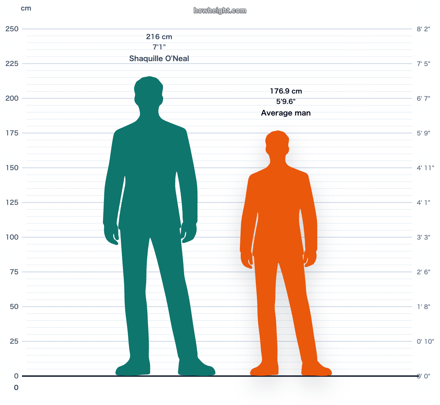 Shaquille O'Neal compared with United States men average