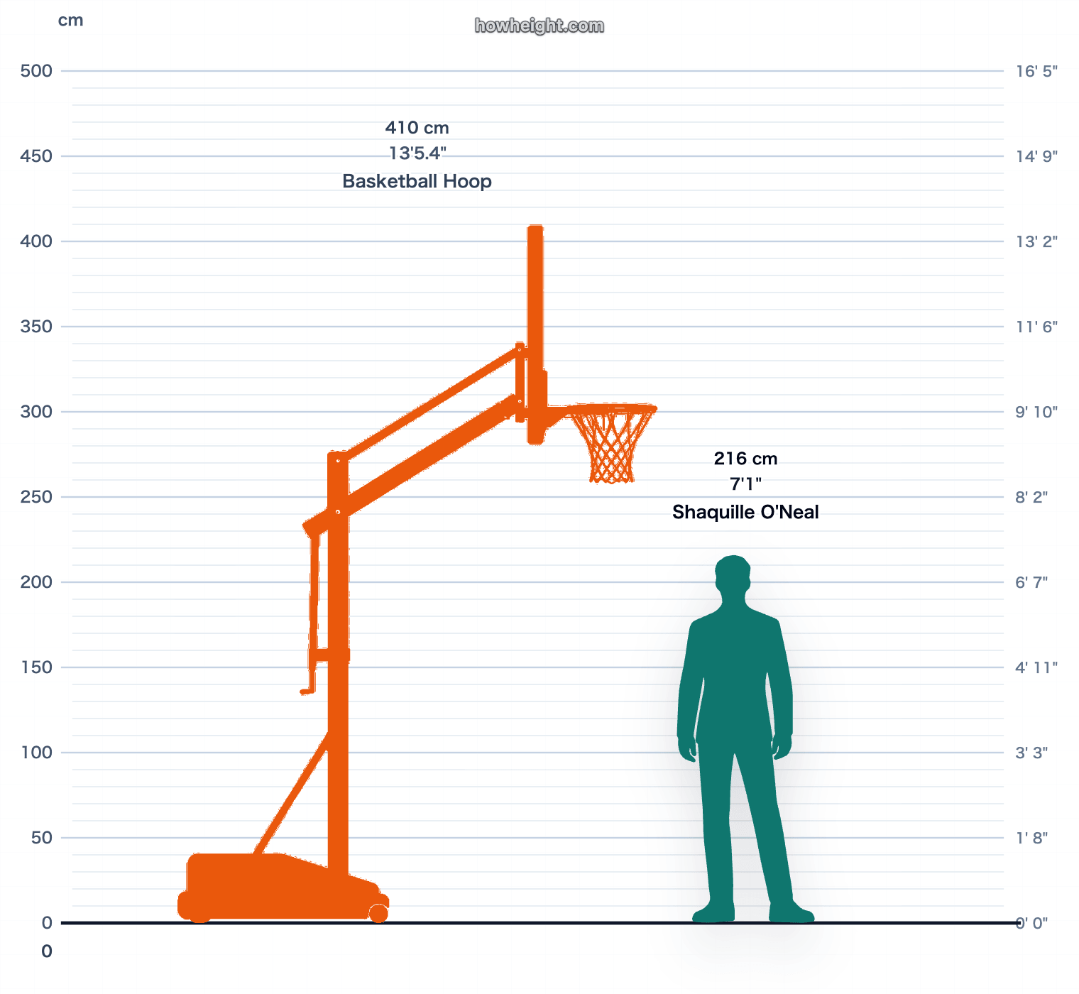 Shaquille O'Neal compared with Basketball hoop