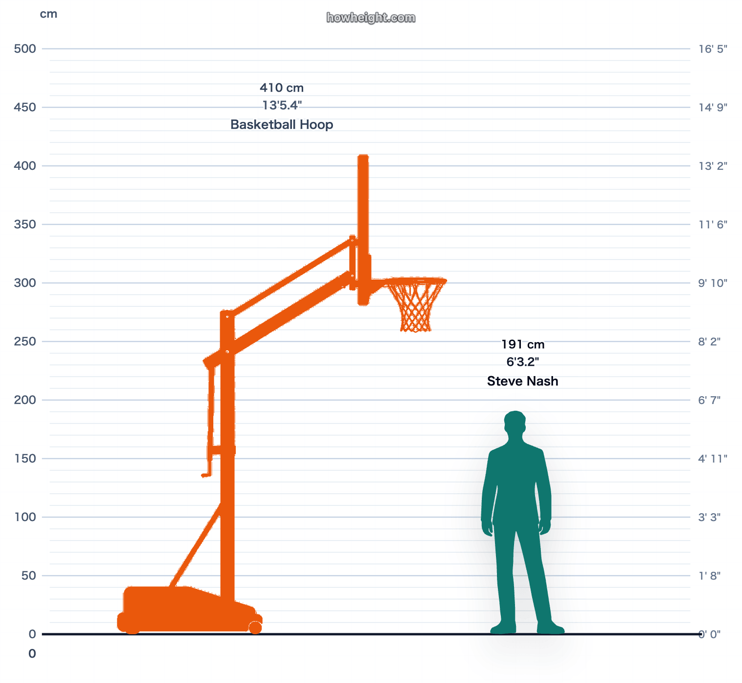 Steve Nash compared with Basketball hoop