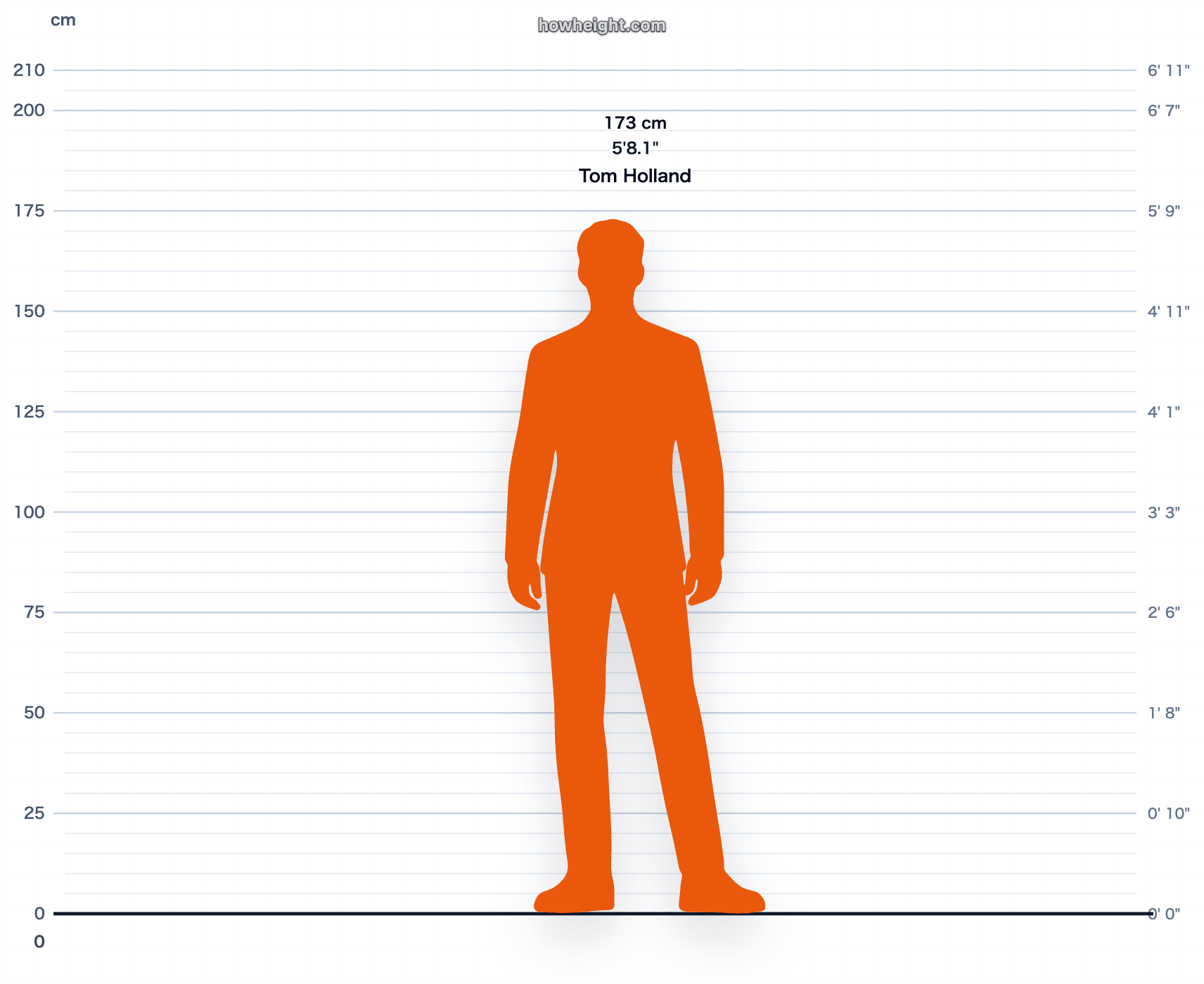 Tom Holland 173 cm height chart