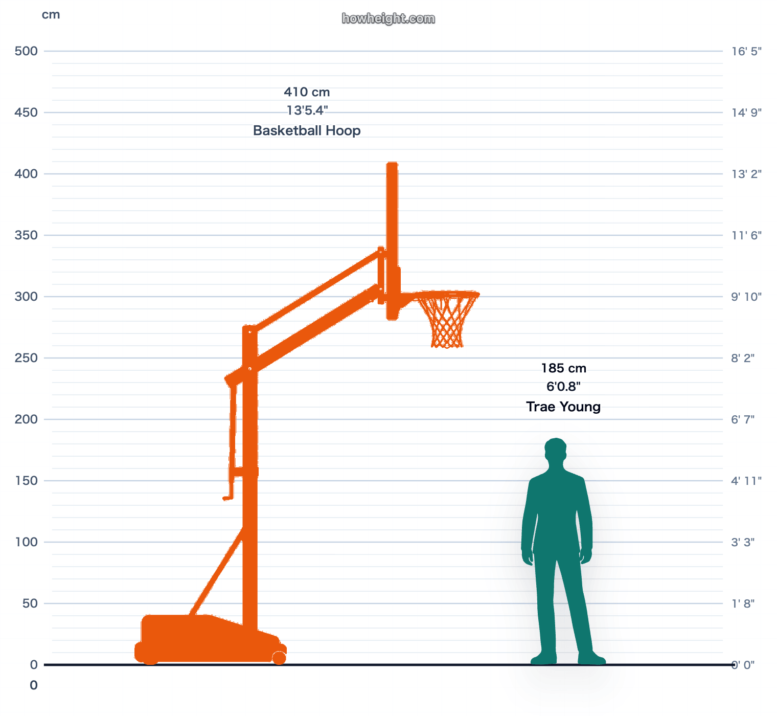 Trae Young compared with Basketball hoop
