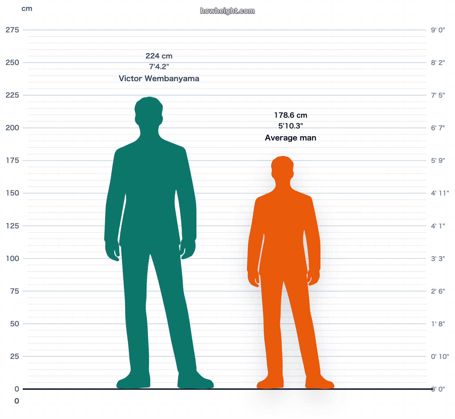 Victor Wembanyama compared with France men average