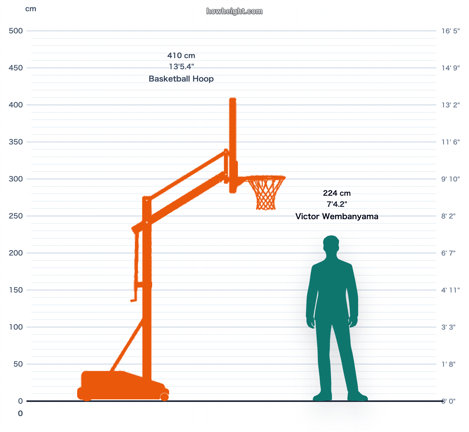 Victor Wembanyama compared with Basketball hoop