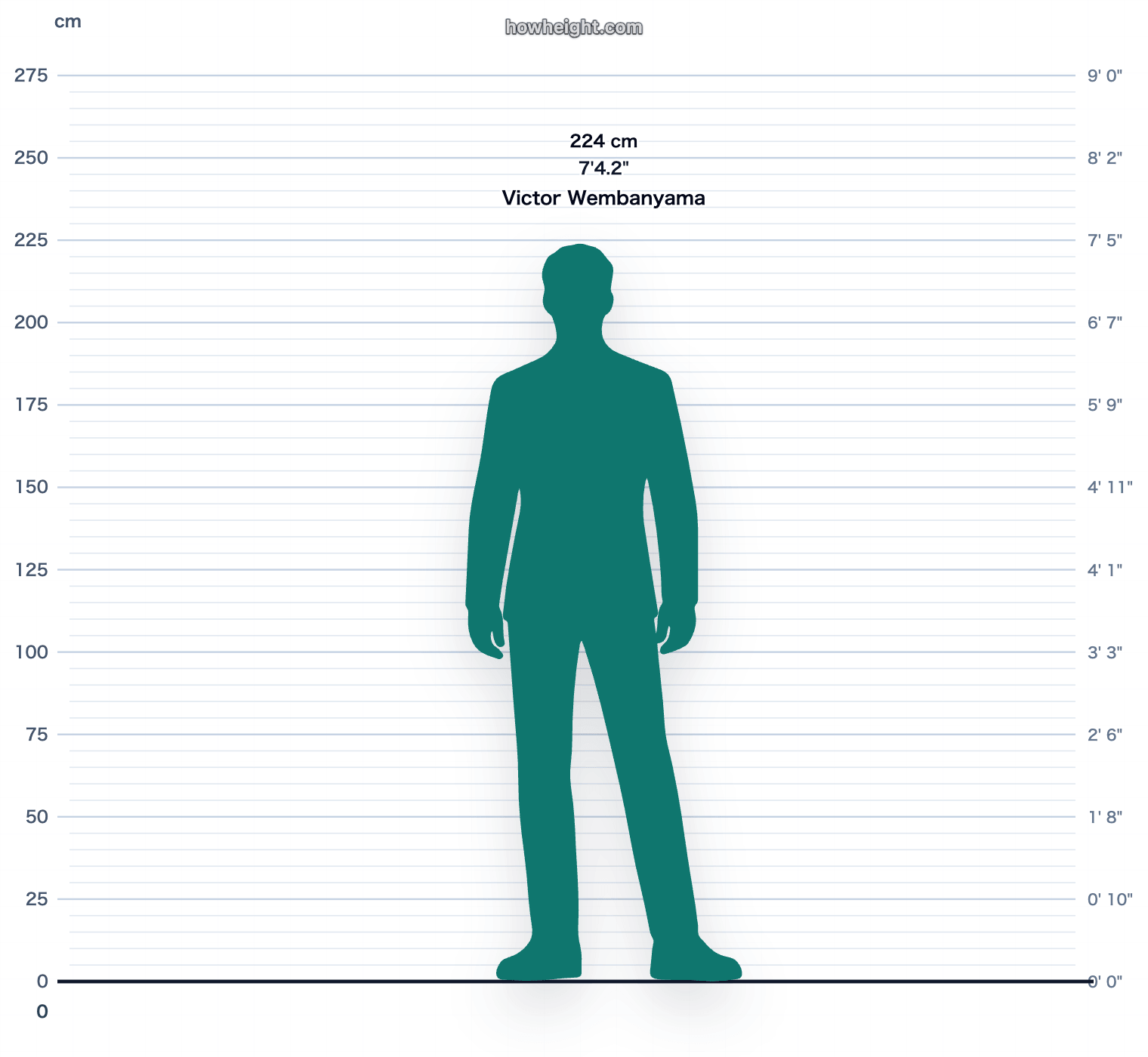 Victor Wembanyama 224 cm height chart