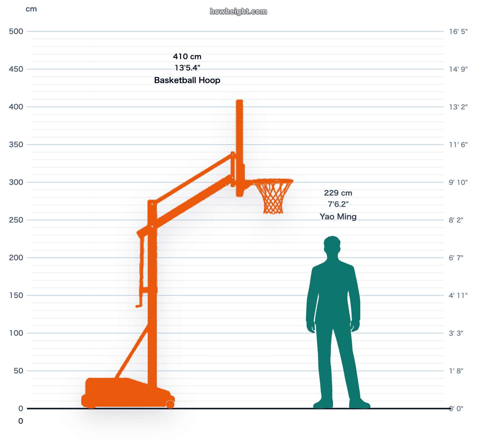 Yao Ming compared with Basketball hoop