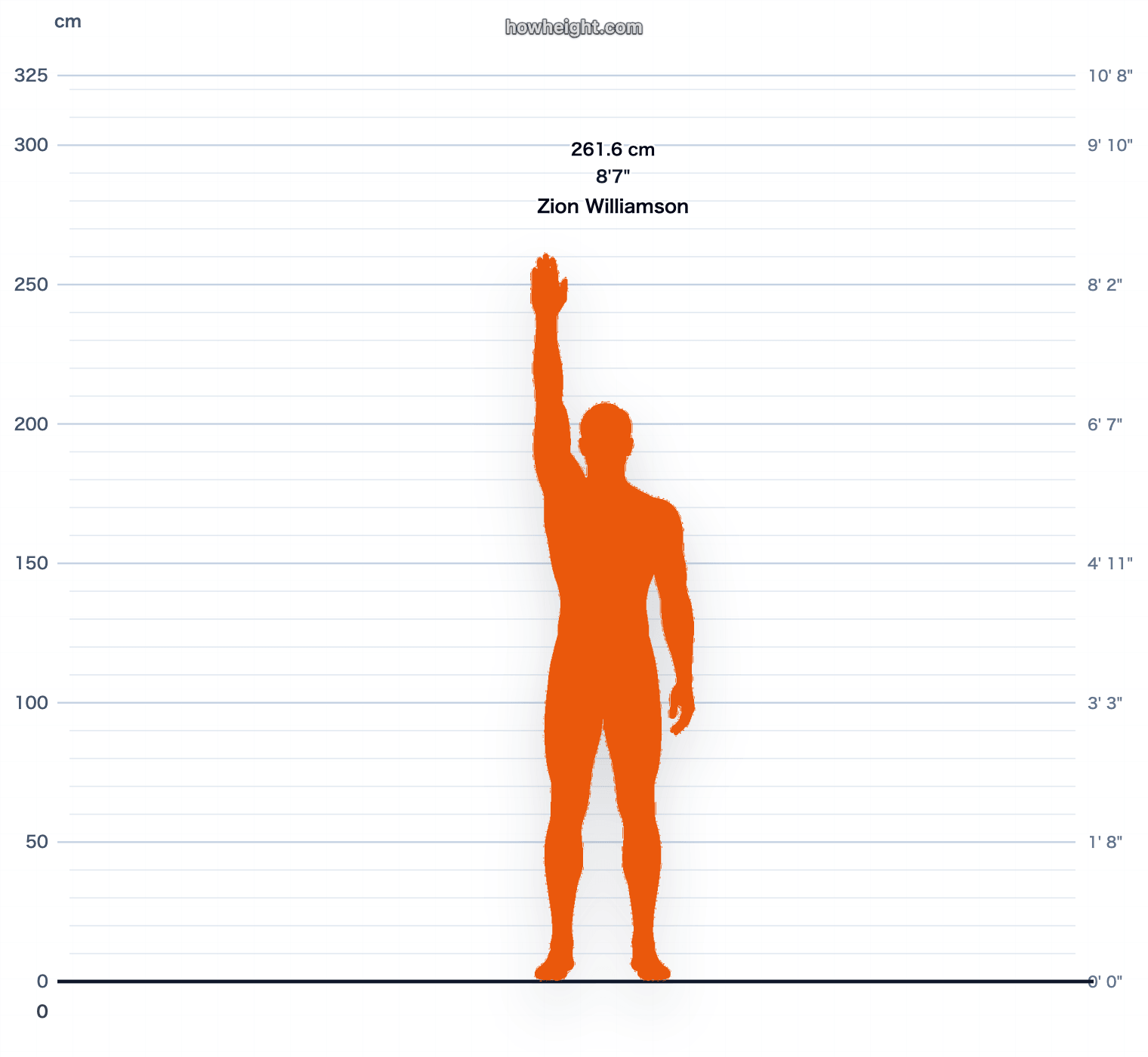 Zion Williamson standing reach chart